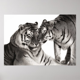 Tigers - Hand-Payed Wildlife Porträtt Poster