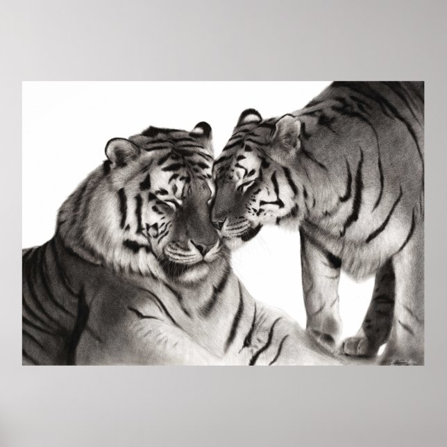 Tigers - Hand-Payed Wildlife Porträtt Poster (Framsidan)