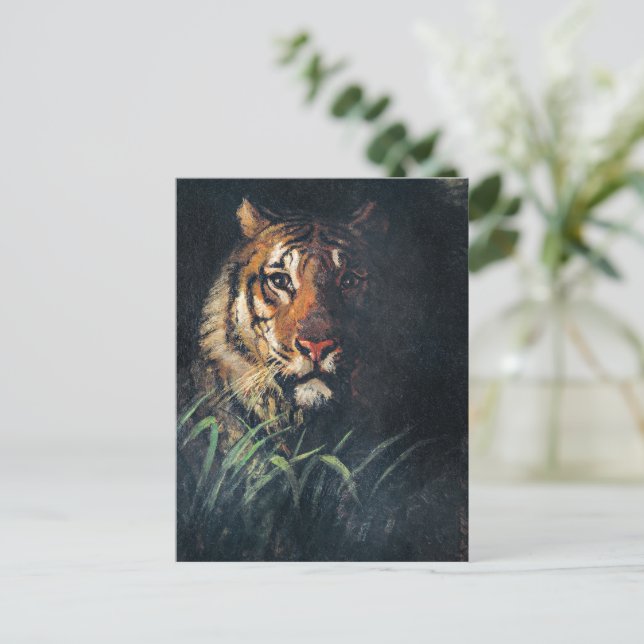 Tigers huvud, bra konsmålning, vykort (Stående Fram)