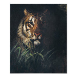 Tigers huvudmålning av Abbott Handerson Thayer Fototryck