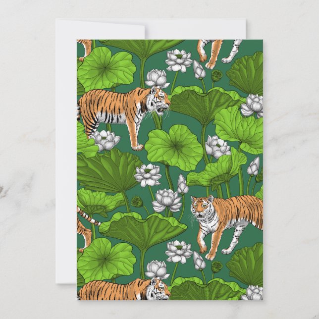Tigers i den vita lotus dammen (Framsida)