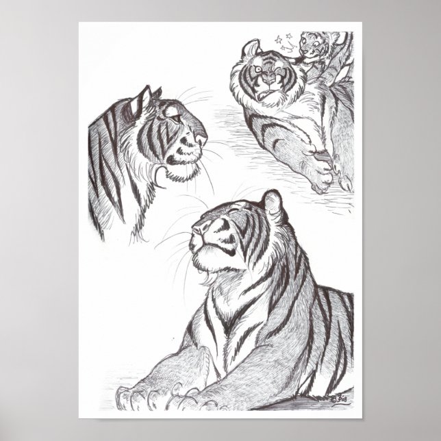 Tigers in black poster (Framsidan)