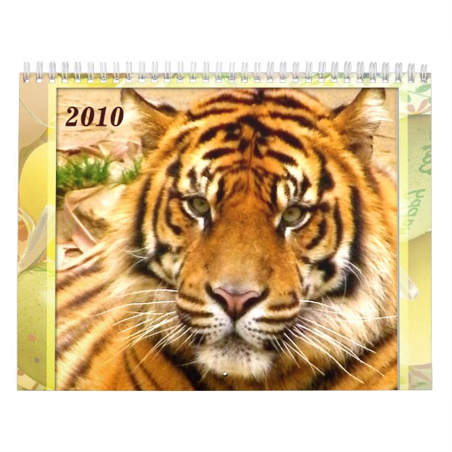 Tiger's & Lejon's Expression_2010 Calendar Kalender (Omslag)