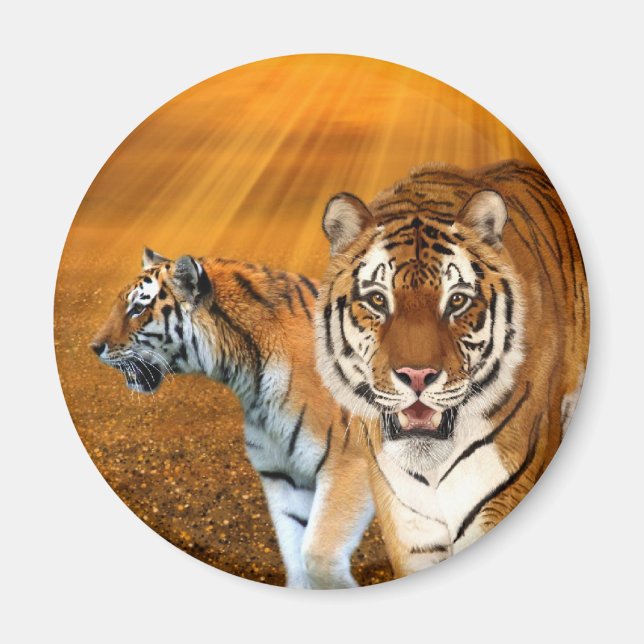 Tigers Magnet (Framsidan)