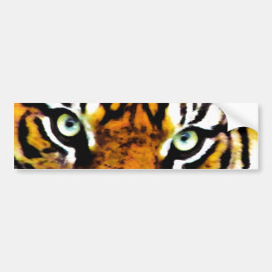TIGER'S ÖGA_ BILDEKAL