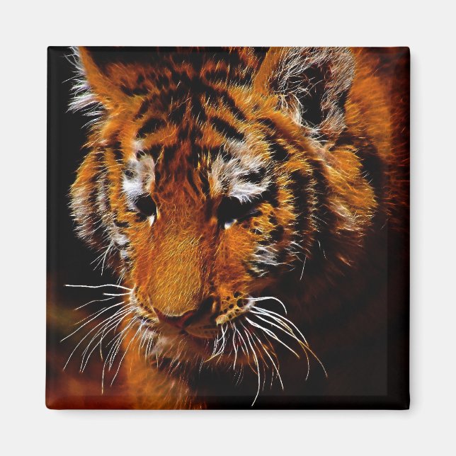 Tigers öga magnet (Framsidan)