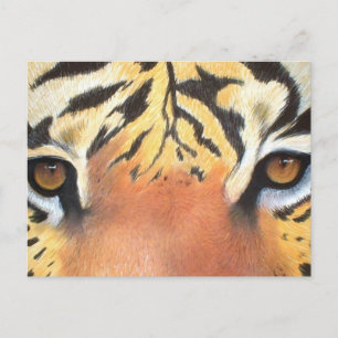 Tigers Ögon Vykort