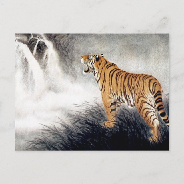 Tigers röst vykort (Framsida)