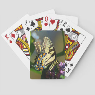 TigerSwallowtail fjäril som leker kort Spel Kort