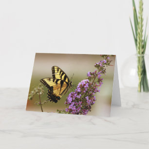 TigerSwallowtail kort