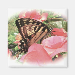 TigerSwallowtail magnet