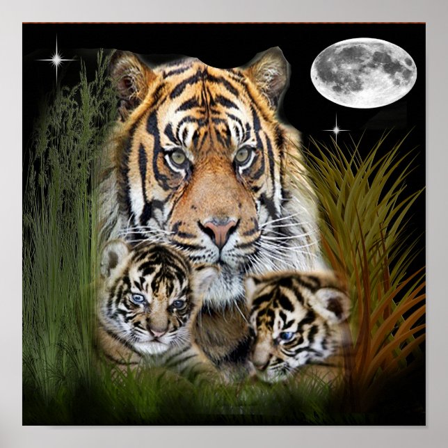 Tigert konstaffisch poster (Framsidan)