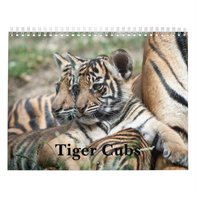 Tigerungar Kalender (Omslag)
