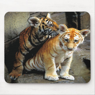 Tigerungar Mousepad Musmatta