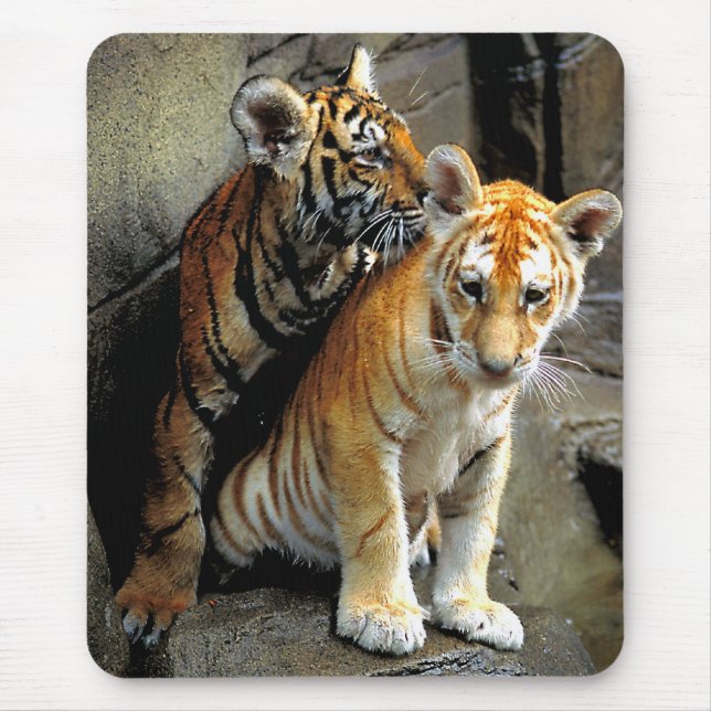 Tigerungar Mousepad Musmatta (Framsidan)