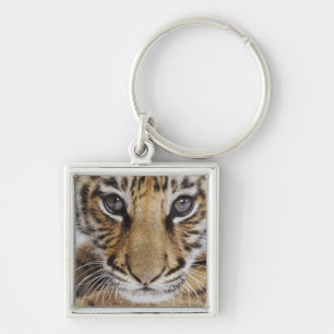 Tigerunge Fyrkantig Silverfärgad Nyckelring