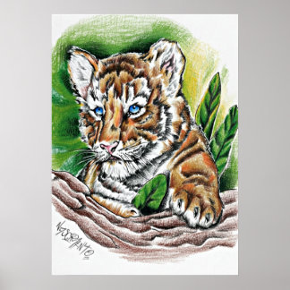 Tigerunge – Handritad färgpenneteckning Poster
