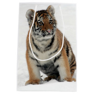 Tigerunge i snö fotografi
