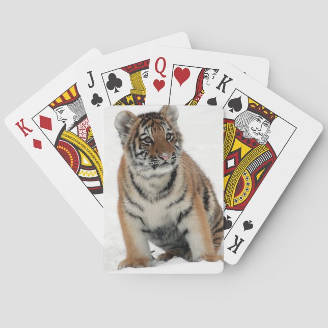 Tigerunge i snö fotografi casinokort (Baksidan)