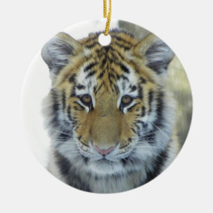 Tigerunge i snö tätt upp porträtt julgransprydnad keramik