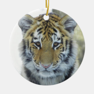 Tigerunge i snö tätt upp porträtt julgransprydnad keramik