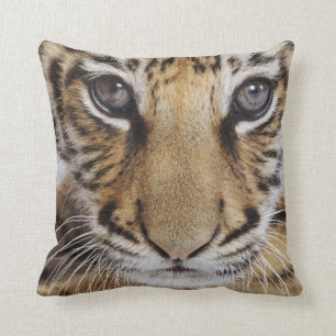 Tigerunge Kudde