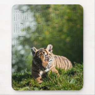 Tigerunge Musmatta