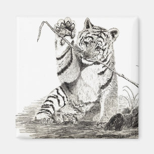 Tigerunge som leker magneten magnet