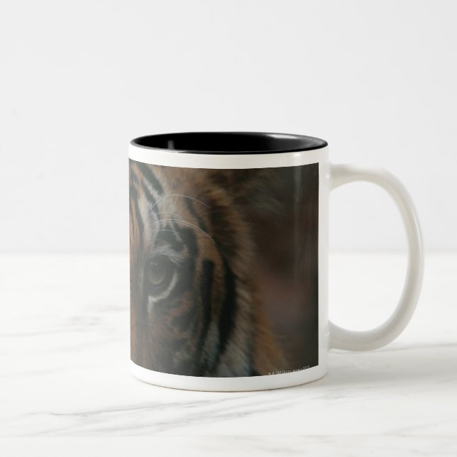 Tigerunge Två-Tonad Mugg (Höger)