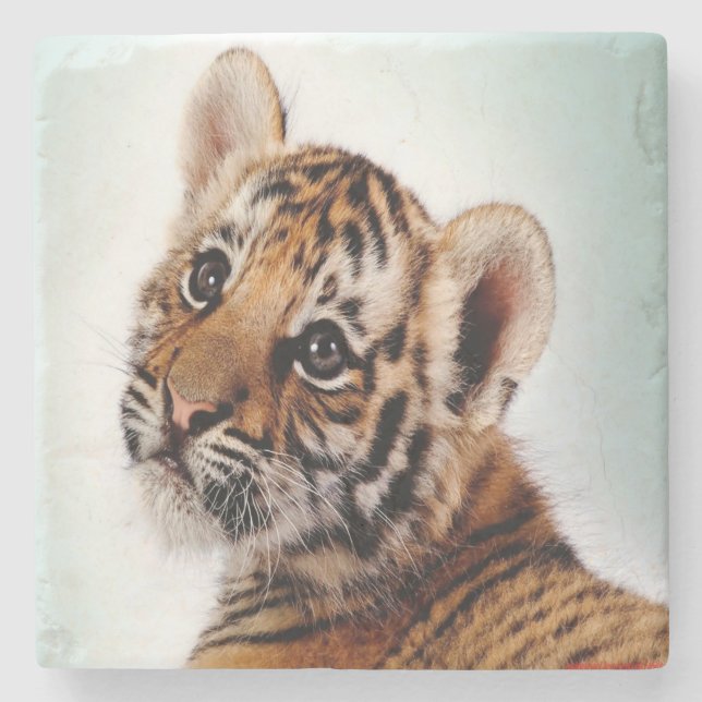 Tigerunge Underlägg Sten (Framsidan)