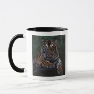 Tigerungen Reclines på sten Mugg