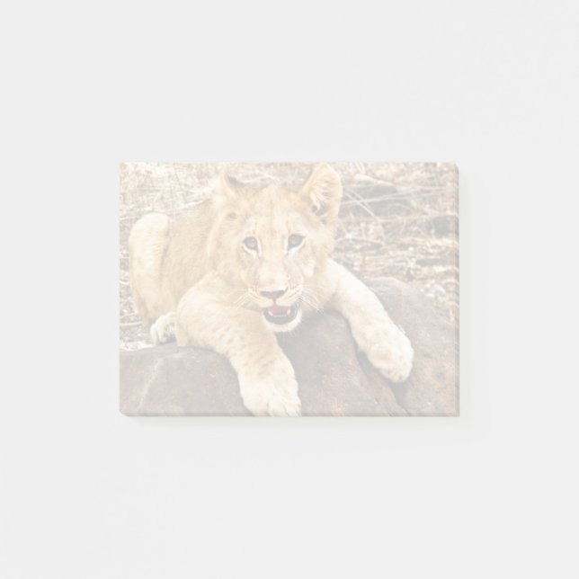 Tigerungen tar luftventilen på en sten post-it block (Framsida)