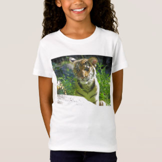 Tigerungeporträtt 3 tee
