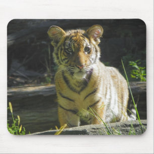 Tigerungeporträtt 4 musmatta