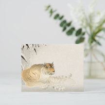 Tigervykort - fetstil och Majestic Wildlife