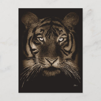 Tigervykort Vykort