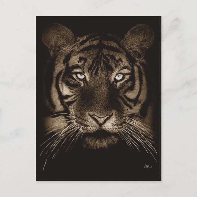 Tigervykort Vykort (Framsida)