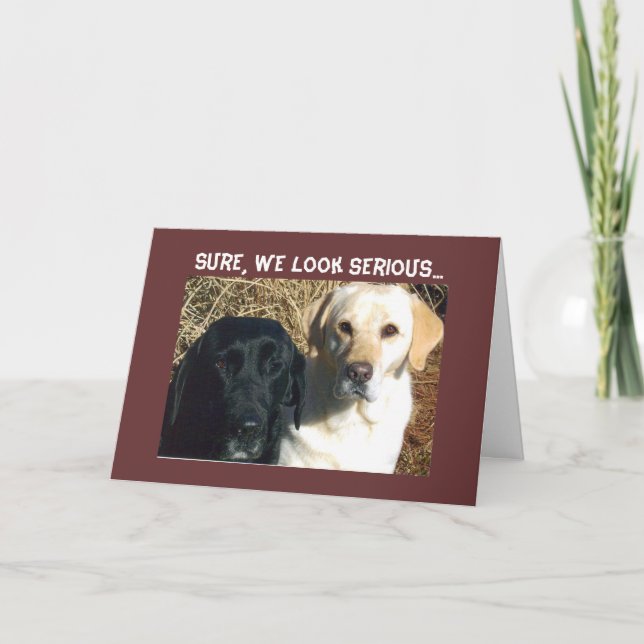 TIGGA GOMMAR SNARTT LYCKÖNSKAR KORT (Framsida)