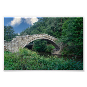 Tiggarbron, Glaisdale Fototryck