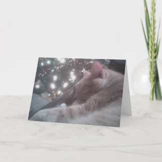 Tigger Cat-jul Helgkort