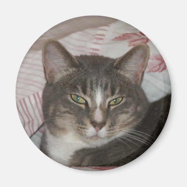 Tigger Magnet (Framsidan)