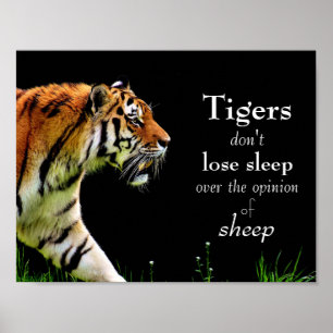 Tigrar Motivational // Poster