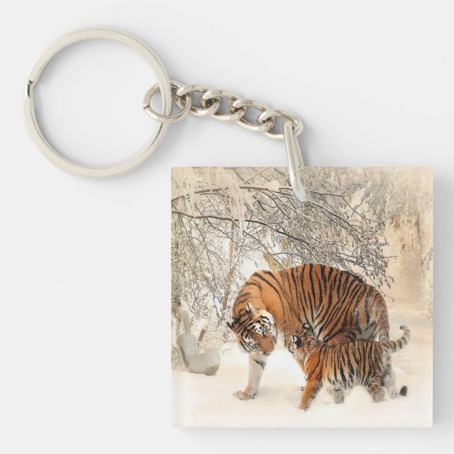 Tigrar på snö (Framsidan)