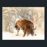 Tigrar på snö poster<br><div class="desc">Tiger mamma och barn går på snö.</div>