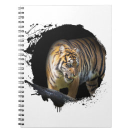 Tigre Animal Vie Sauvage Jungle Nature Liberté Anteckningsbok