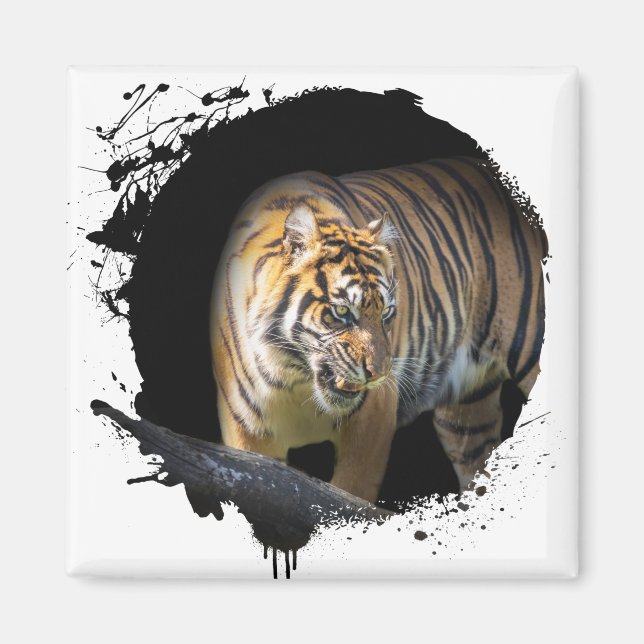 Tigre Animal Vie Sauvage Jungle Nature Liberté Magnet (Framsidan)