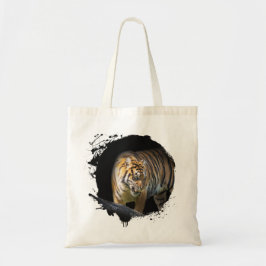 Tigre Animal Vie Sauvage Jungle Nature Liberté Tygkasse