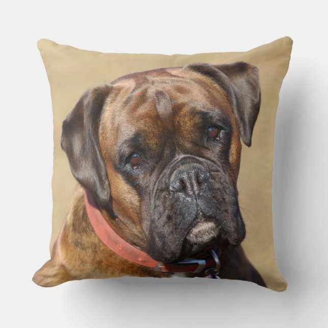 Tigrerad Boxer Hund Kudde (Framsida)