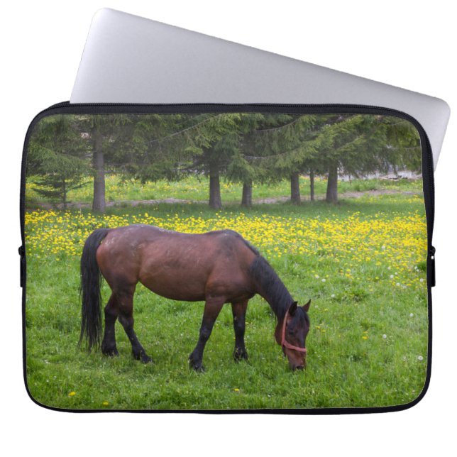 Tihuta Pass, Horse in Pasture Laptop Fodral (Framsidan)