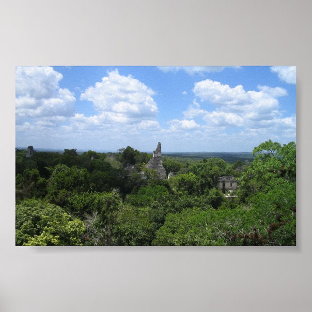 Tikal från Temple V Poster (Framsidan)